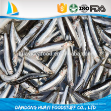 new arrival best quality frozen fish anchovy with competitive price